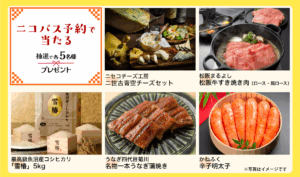 ニコパスで日本を旅しよう！キャンペーン