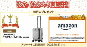 アンケートキャンペーン