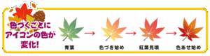 色づくごとにアイコンの色が変化！