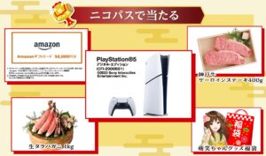 おとなも欲しいよ!ニコレンお年玉キャンペーン